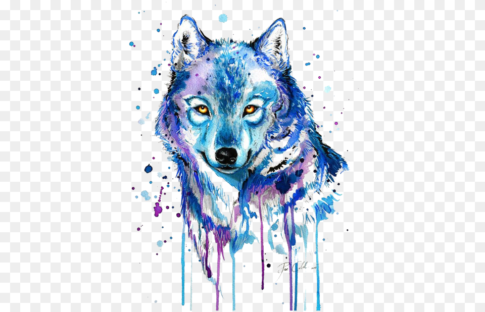 Watercolor Wolf U0026 Free Wolfpng Transparent Wolf Drawing, Animal, Mammal, Canine, Dog Png
