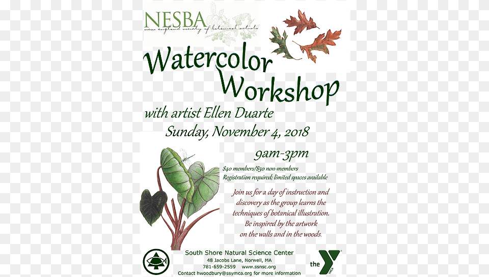 Watercolor Workshop With Artist Ellen Duarte Jasmine, Advertisement, Herbal, Herbs, Leaf Free Png Download