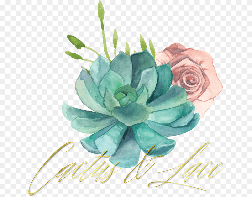 Watercolor Wreath, Art, Flower, Graphics, Plant Free Transparent Png