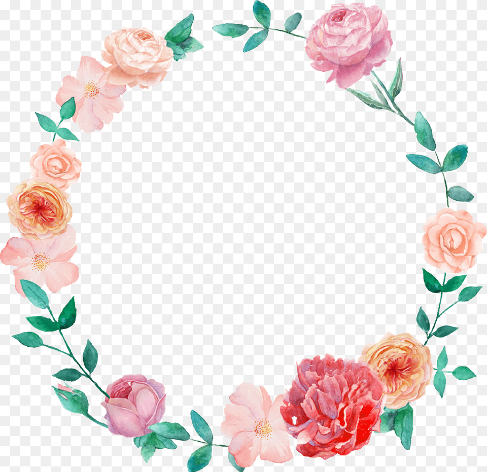 Watercolor Wreath Flower, Plant, Rose, Carnation, Petal Free Png