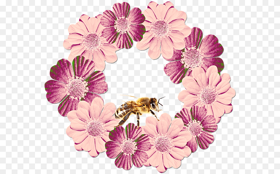 Watercolor Wreath Flowers Floral Wreath Floral Artificial Flower, Animal, Invertebrate, Bee, Insect Png Image