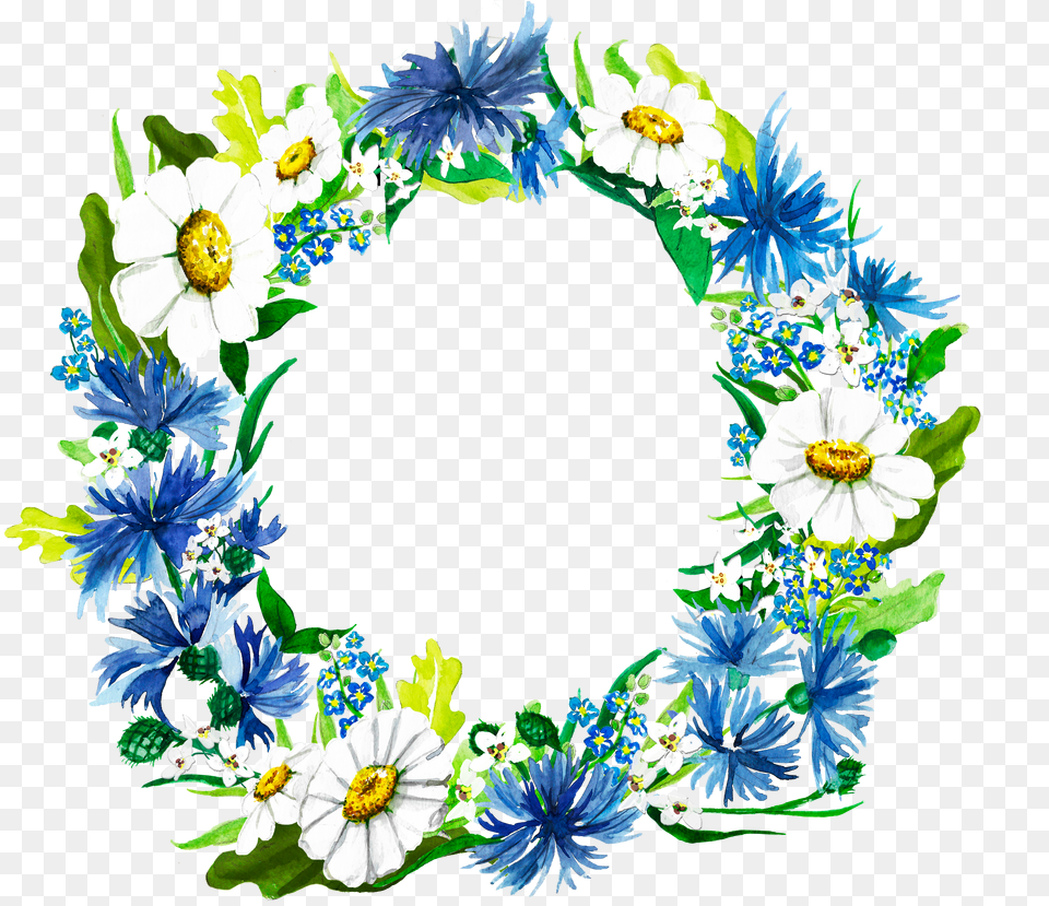 Watercolor Wreath Made Of The Bluebottle Margaret African Daisy Png