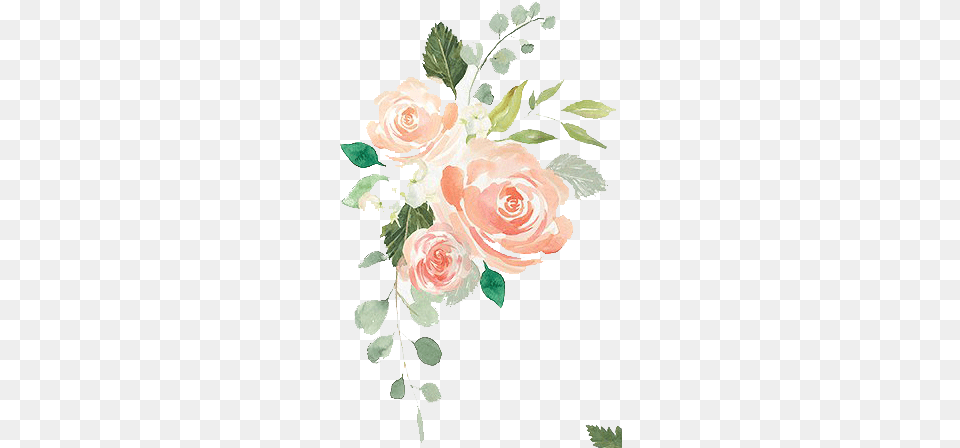 Watercolor Wreathes And Flowers Peach Bridal Shower Invitation, Art, Rose, Floral Design, Flower Png