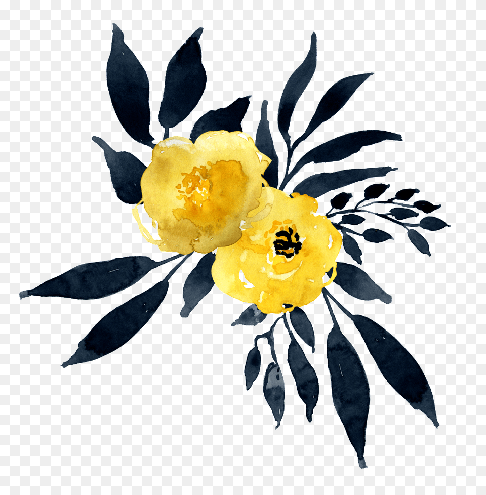 Watercolor Yellow Flower Download Vector, Art, Pattern, Floral Design, Graphics Free Png