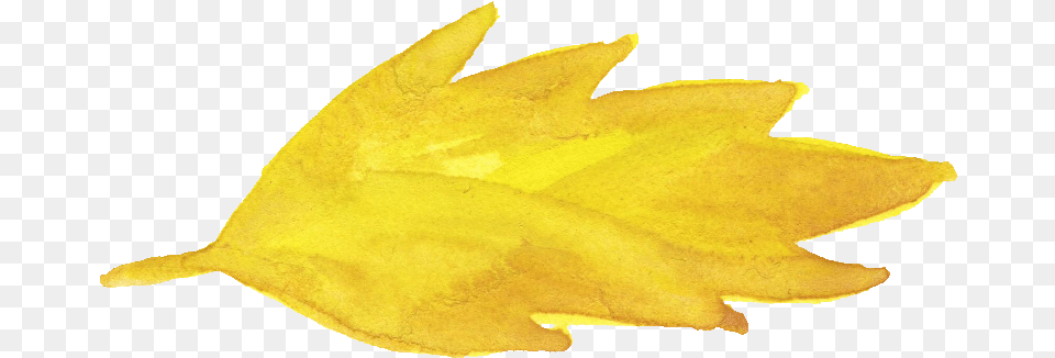 Watercolor Yellow Leaf Transparent Onlygfxcom Watercolor Yellow Leaves, Plant, Animal, Fish, Sea Life Free Png