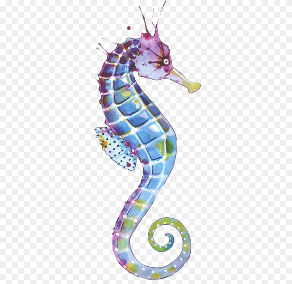 Watercolors Sticker Seahorse Art, Animal, Sea Life, Mammal Png Image