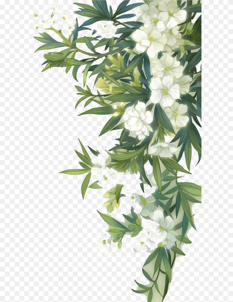 Watercolour Clipart White Flowers, Art, Floral Design, Graphics, Pattern Png