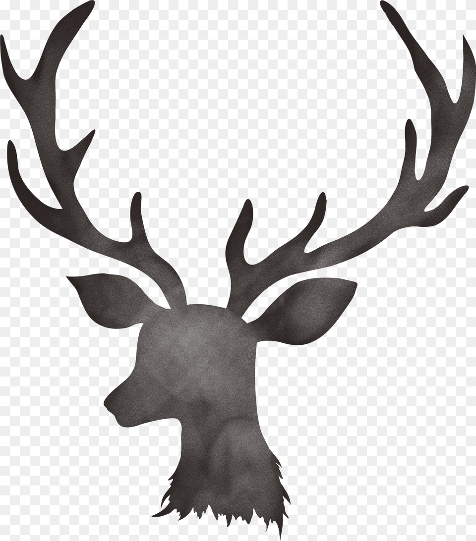 Watercolour Deer Antlers Moose Deer Antlers With Flowers, Sword, Knife, Weapon, Dagger Free Transparent Png