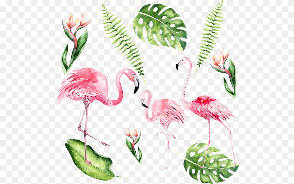 Watercolour Flamingo, Animal, Bird Free Png