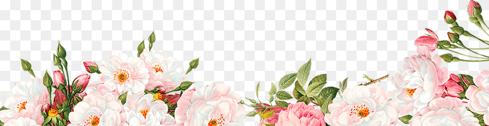 Watercolour Flower Border, Art, Floral Design, Graphics, Pattern Png