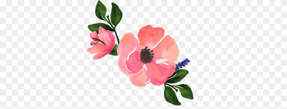 Watercolour Flower Collection Resize Sparkling Letters, Anemone, Plant, Art, Painting Png Image