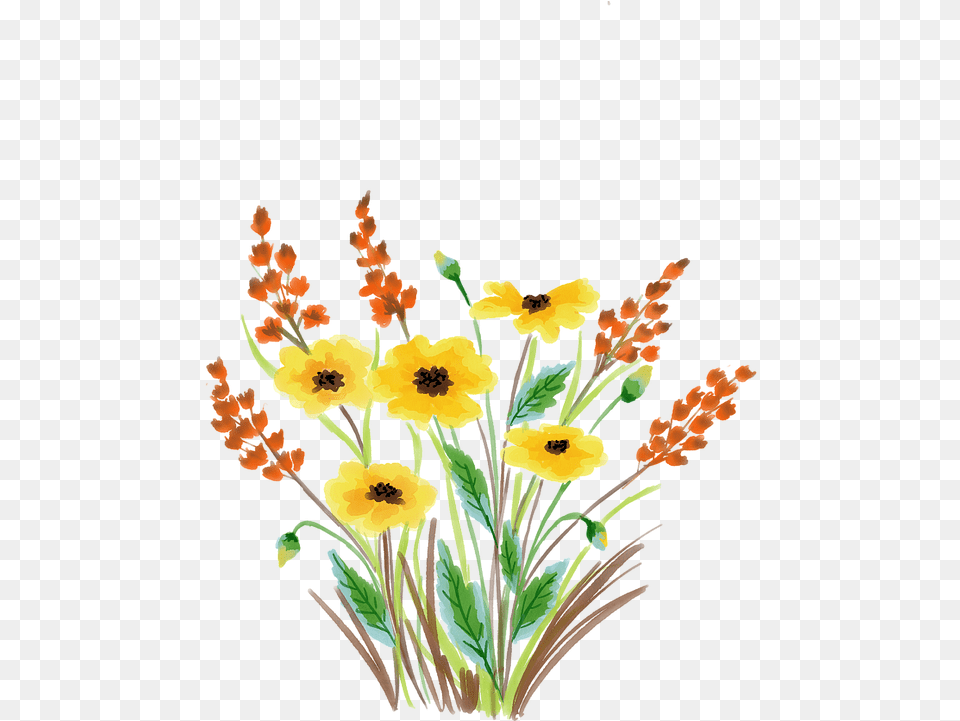 Watercolour Flower Floral Watercolor Nature Watercolor Painting, Art, Plant, Pattern, Graphics Free Transparent Png