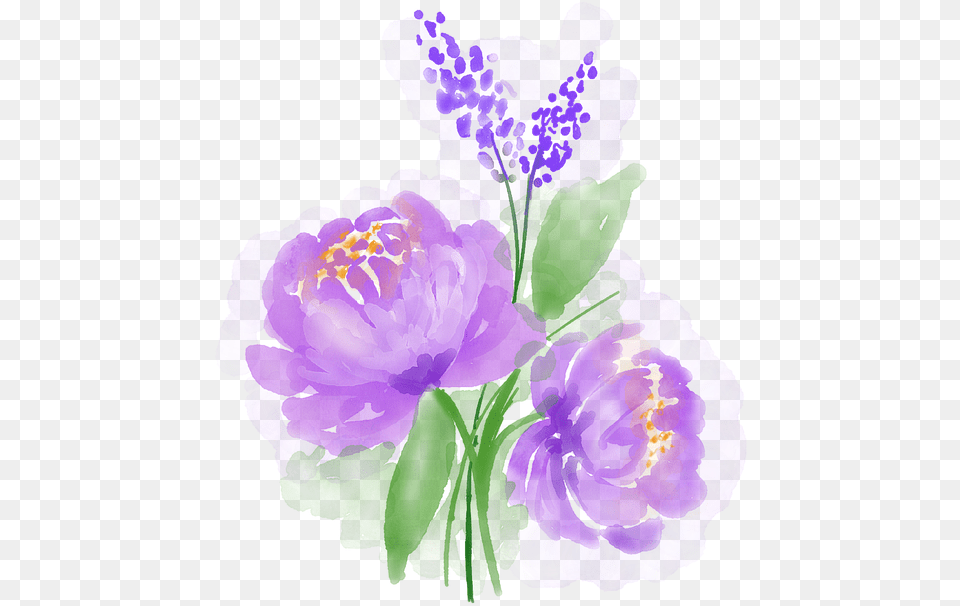 Watercolour Flower Watercolour Watercolor Flowers Imagenes De Flores A Acuarela, Purple, Plant, Graphics, Art Free Transparent Png
