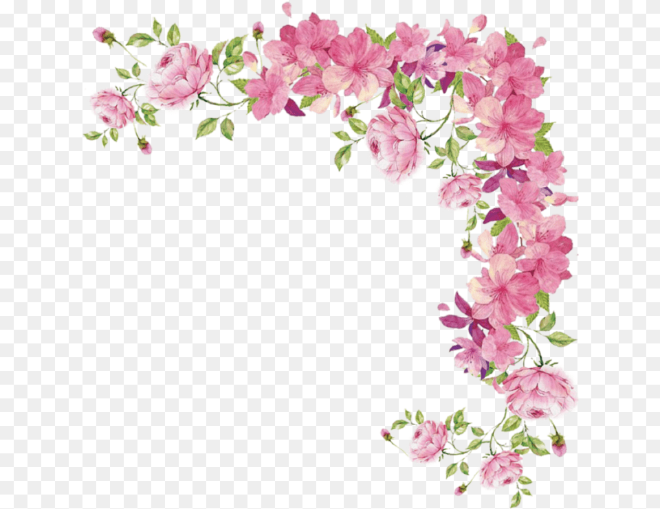 Watercolour Flowers Rose Cut Flowers Artificial Flower Pink Flower Border, Plant, Art, Floral Design, Graphics Free Png Download
