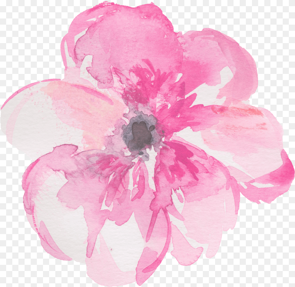 Watercolour Flowers Watercolor Painting Clip Art Pink Watercolour Flower Clipart Free Transparent Png