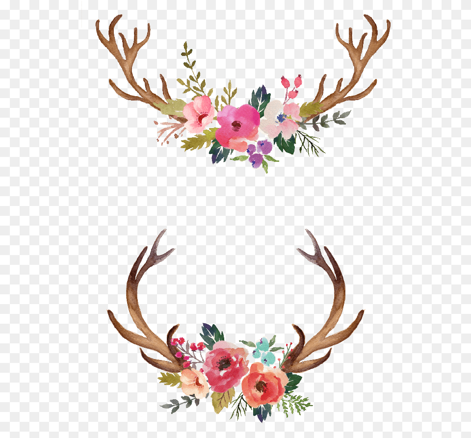 Watercolour Flowers Watercolor Painting Watercolor Antlers With Flowers, Art, Floral Design, Graphics, Pattern Png
