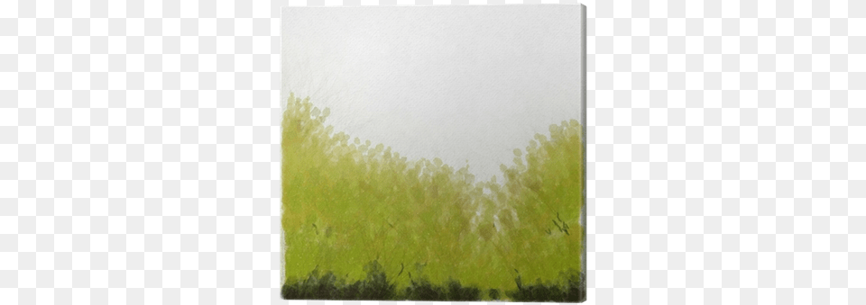 Watercolour Green Grass Background Canvas Print Pixers Grass, Fog, Nature, Outdoors, Weather Free Png