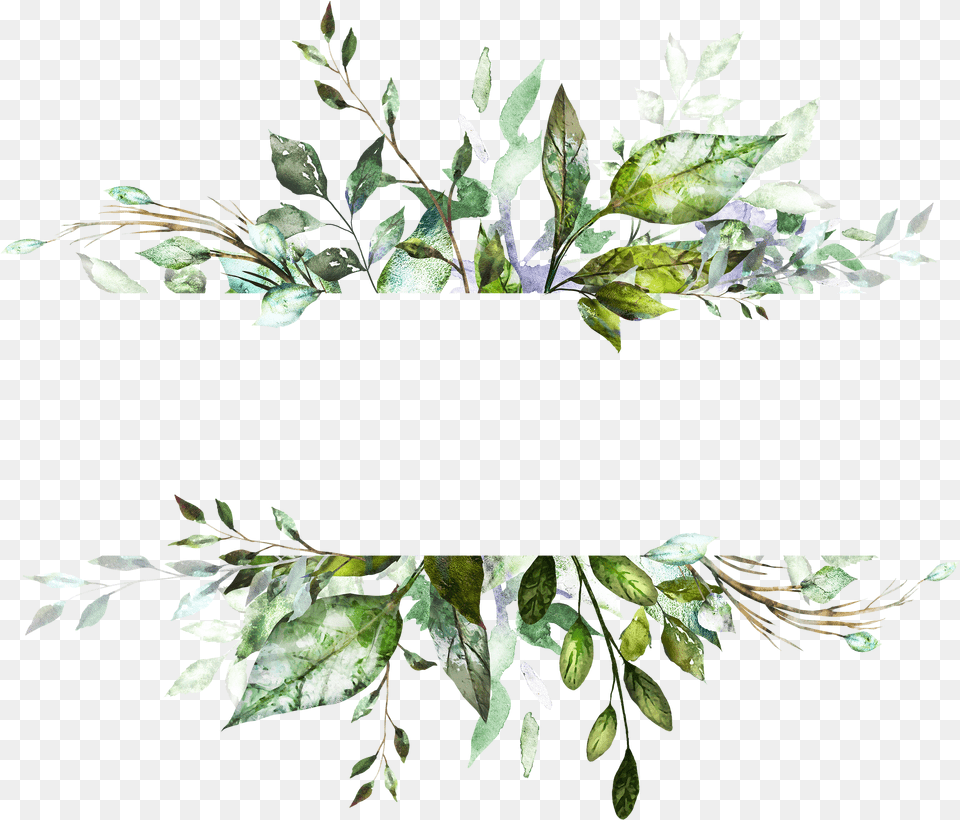 Watercolour Leaf Frame Free Png