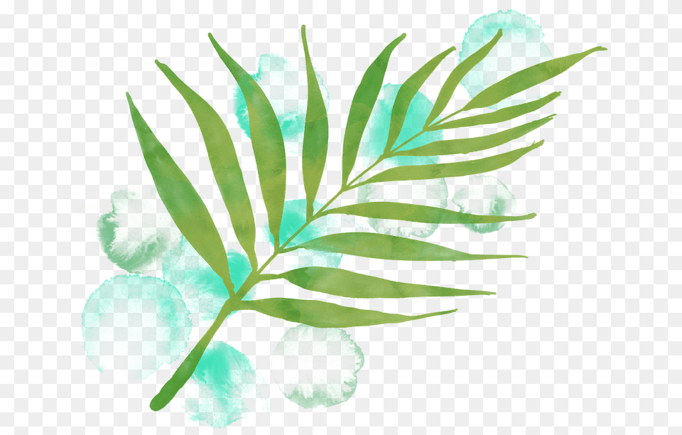 Watercolour Leaf Watercolor Watercolor Painting, Art, Plant, Herbs, Herbal Free Png