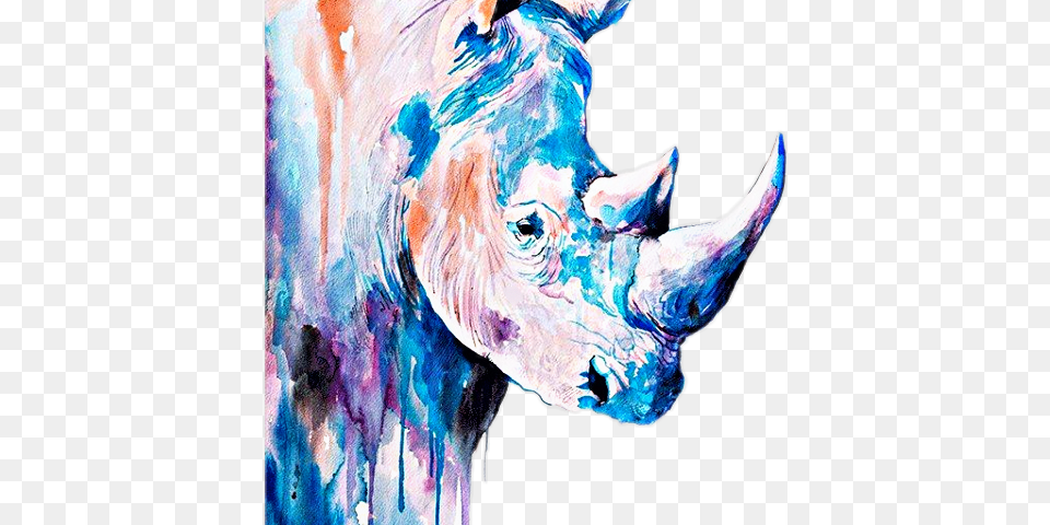 Watercolour Rhino, Person, Animal, Wildlife, Mammal Png