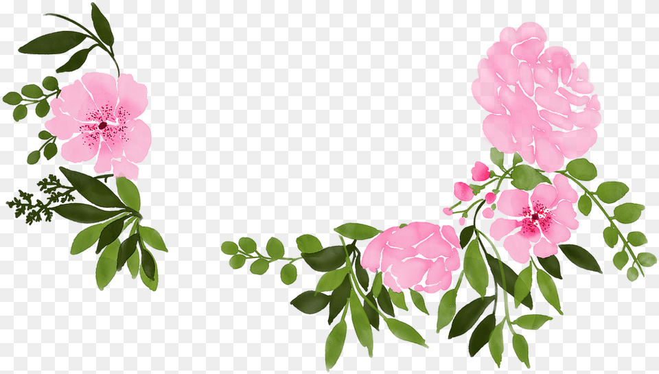 Watercolour Watercolor Floral Rosa Glauca, Flower, Geranium, Plant, Rose Png