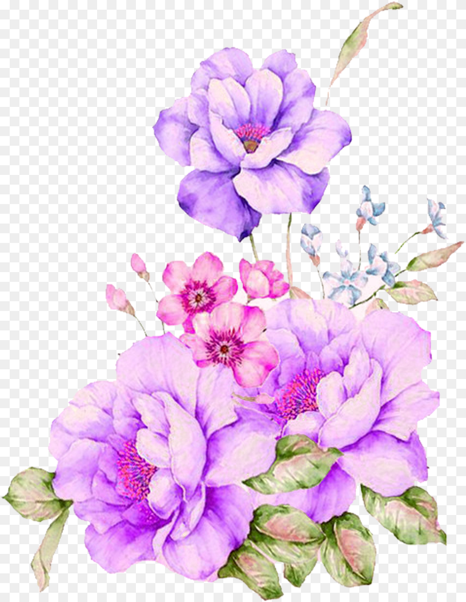 Watercolour Watercolor Flowers Painting Watercolor Painting Flowers, Anther, Purple, Plant, Flower Free Transparent Png