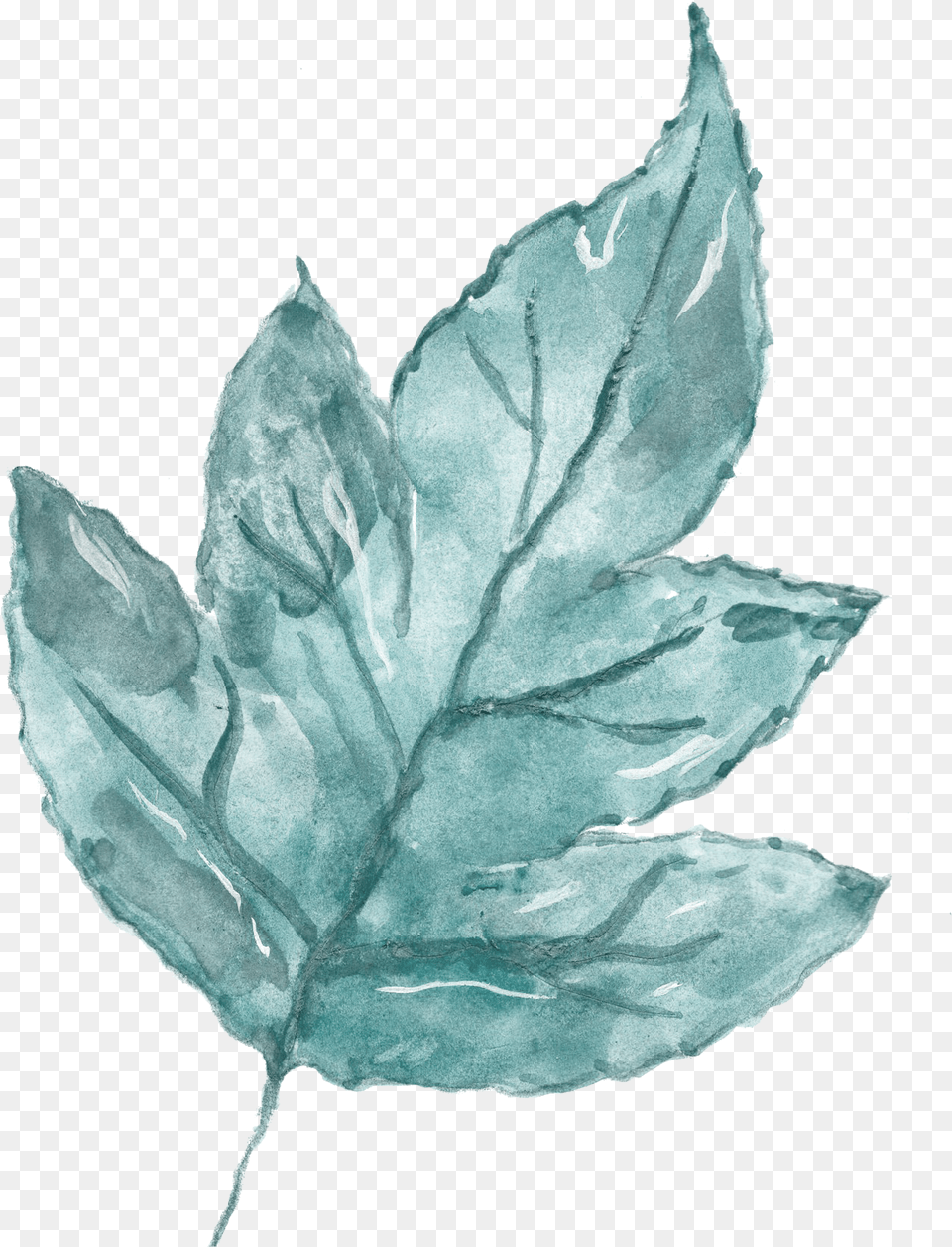 Watercolour Watercolor Painting, Leaf, Plant, Maple Leaf, Flower Png