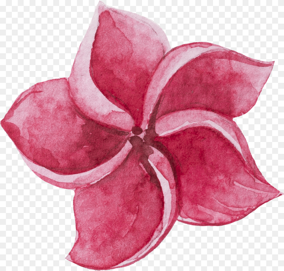 Watercolour Watercolor Sticker Ftestickers Flowers Watercolor Painting, Dahlia, Flower, Petal, Plant Free Png Download