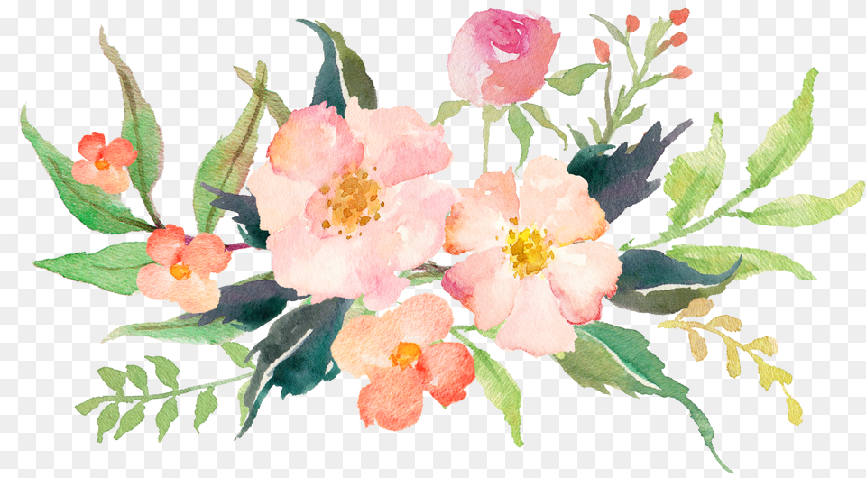 Watercolour Watercolor Tips Flowers Magnolia Pink Watercolor Flowers Clipart, Plant, Flower, Petal, Rose Png Image
