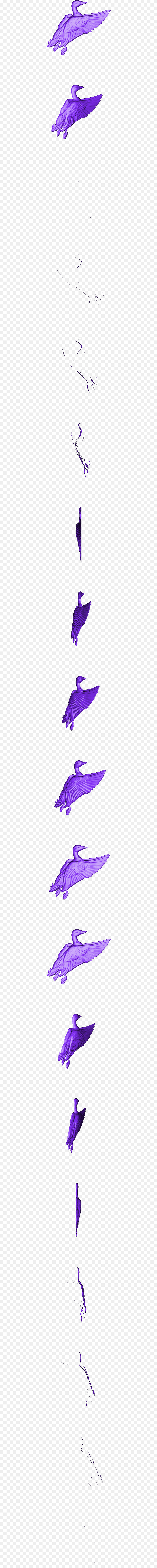 Waterfowl, Purple, Nature, Outdoors, Water Free Png