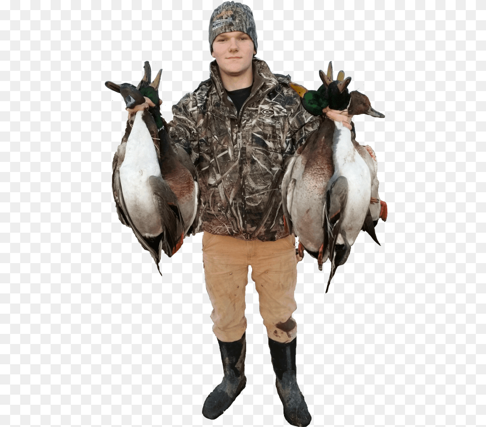Waterfowl Hunting, Adult, Person, Man, Male Free Transparent Png