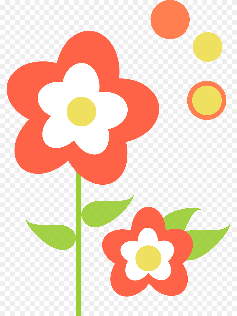 Watering A Flower Clipart, Anemone, Plant, Daisy, Pattern Png