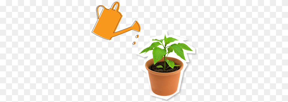 Watering Can And Pot Plant Watering Potted Plant, Leaf, Potted Plant, Tin, Watering Can Free Png
