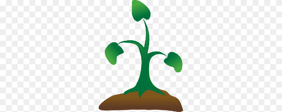 Watering Seeds Cliparts, Plant, Sprout, Person, Potted Plant Free Transparent Png