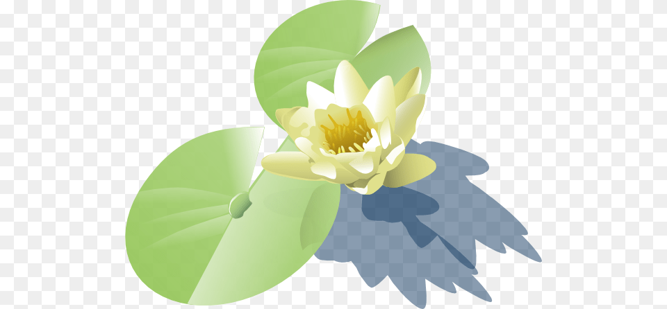 Waterlily Pad Clip Art, Flower, Lily, Plant, Pond Lily Free Transparent Png