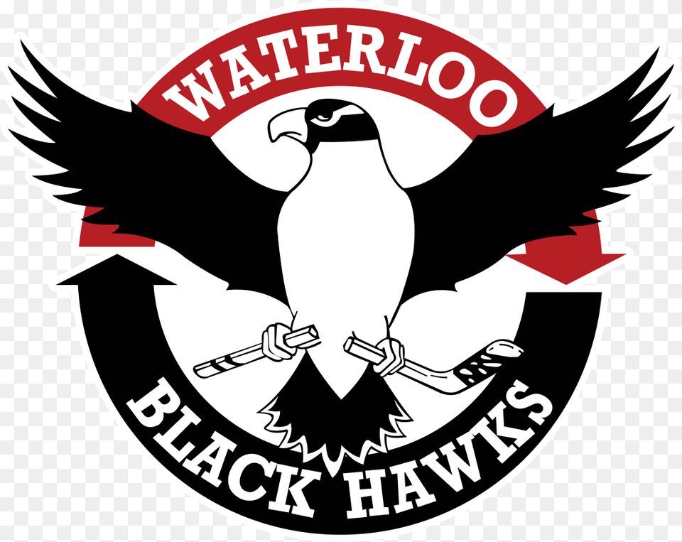 Waterloo Black Hawks, Emblem, Logo, Symbol, Animal Png Image
