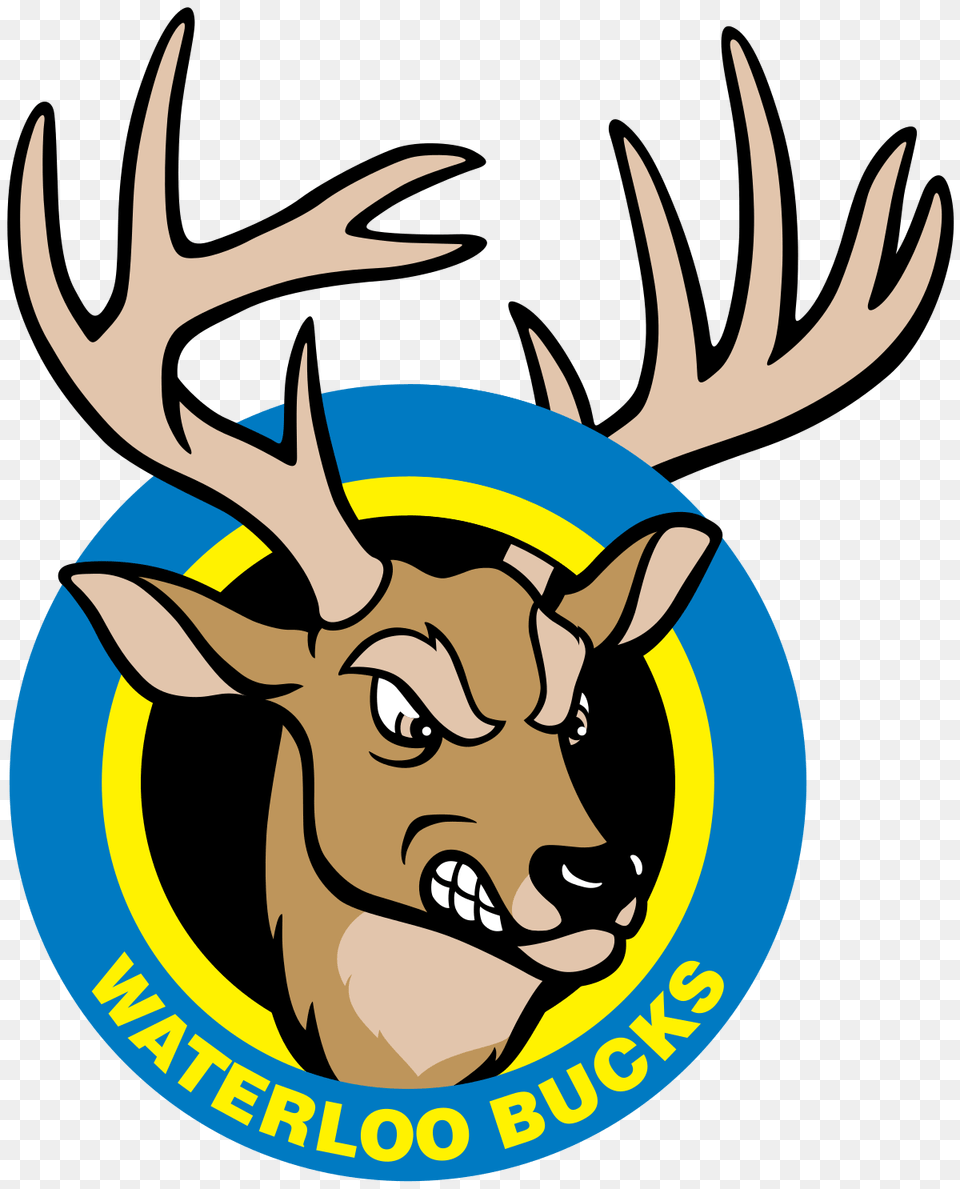 Waterloo Bucks, Animal, Mammal, Wildlife, Deer Png