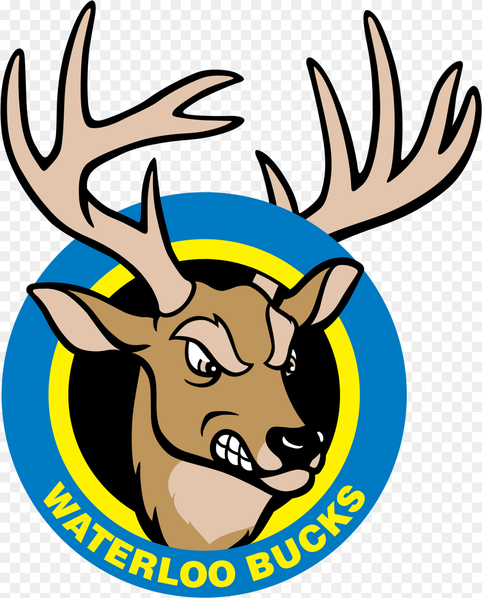Waterloo Bucks Waterloo Bucks Baseball Logo, Animal, Mammal, Wildlife, Deer Png