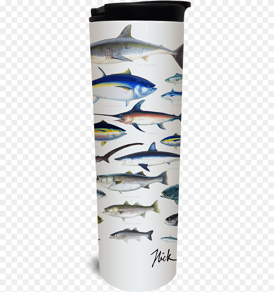Watermark Sardine, Animal, Fish, Sea Life, Shark Free Png