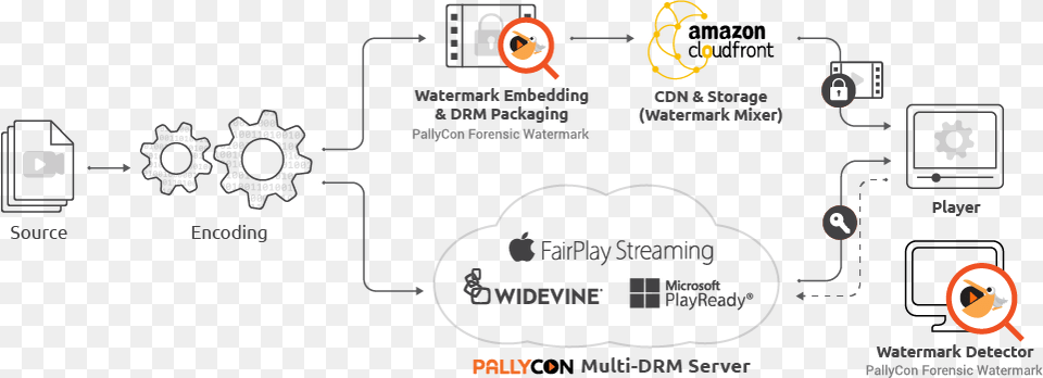 Watermarking Workflow Forensic Watermarking Png