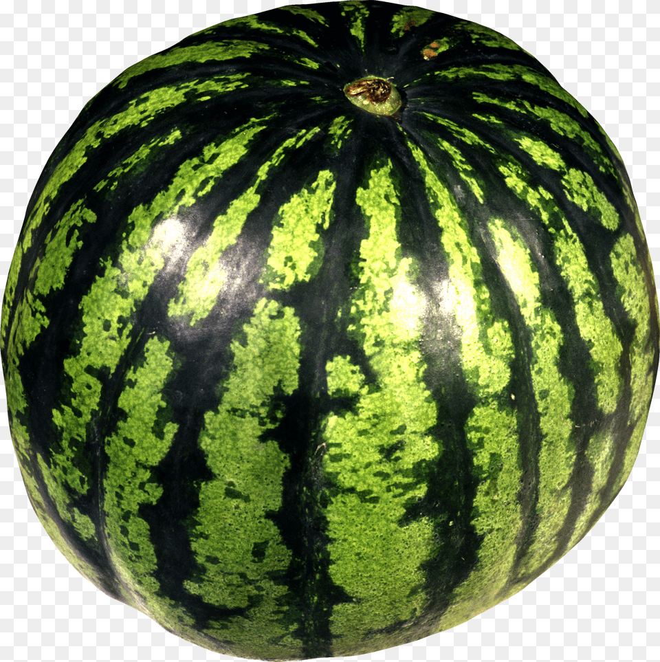 Watermelon Free Png Download