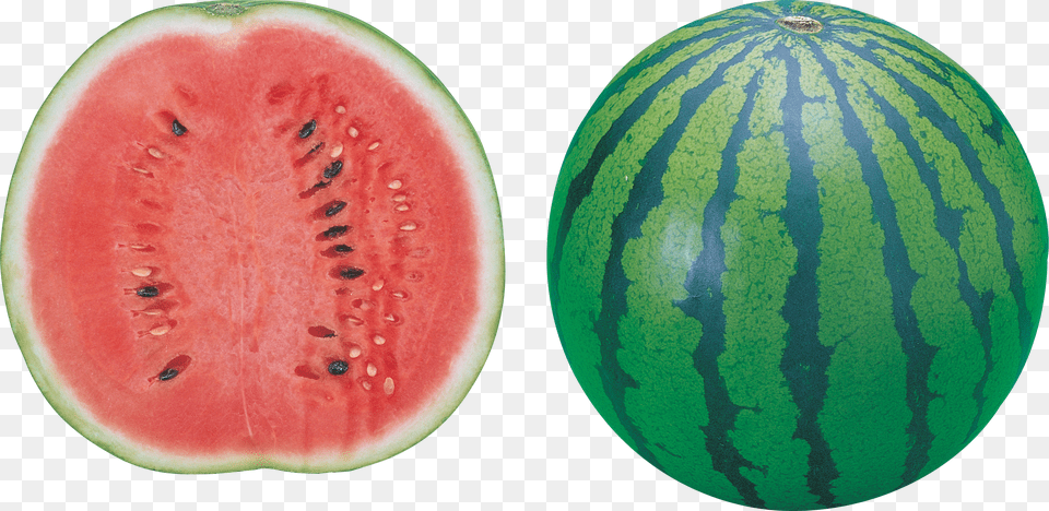 Watermelon Png