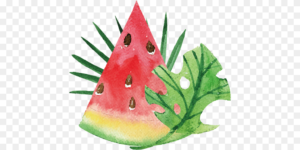 Watermelon, Food, Fruit, Plant, Produce Png Image