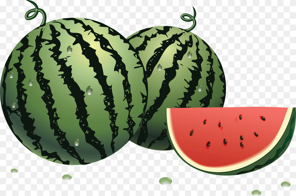 Watermelon, Food, Fruit, Melon, Plant Png