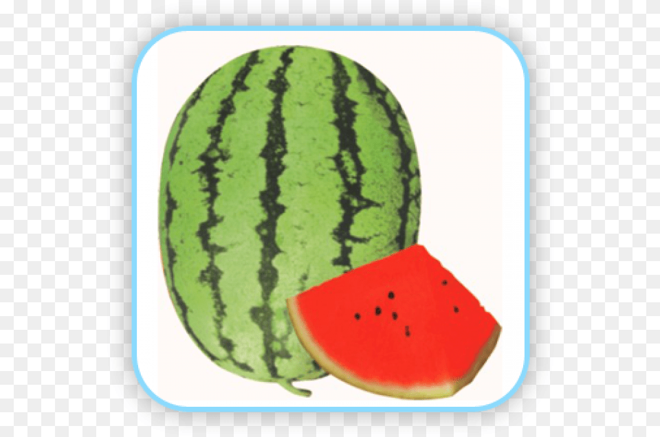 Watermelon, Food, Fruit, Melon, Plant Free Png