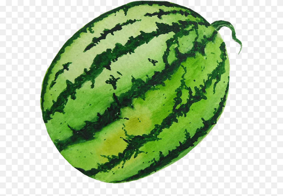Watermelon, Food, Fruit, Plant, Produce Free Transparent Png