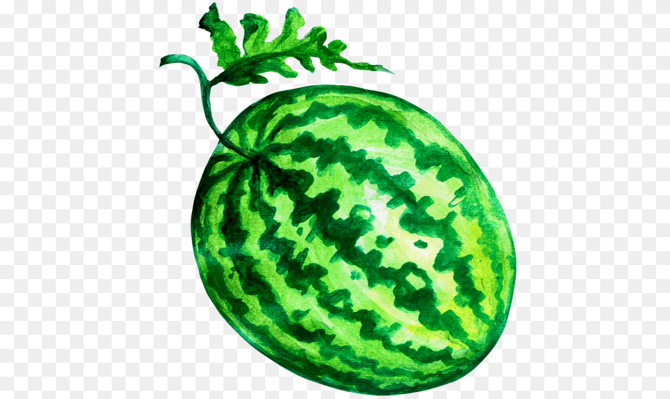 Watermelon, Food, Fruit, Plant, Produce Png