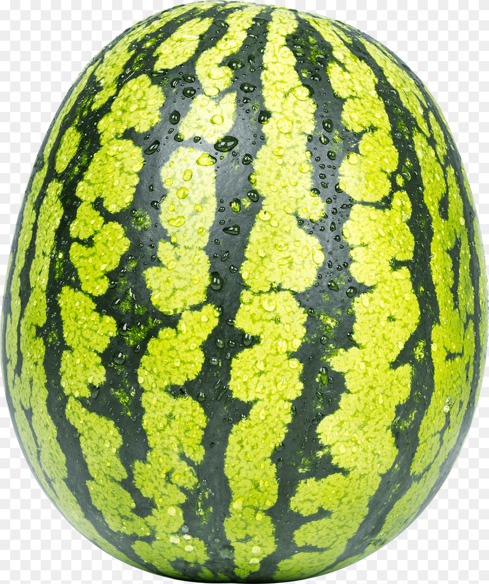 Watermelon Png