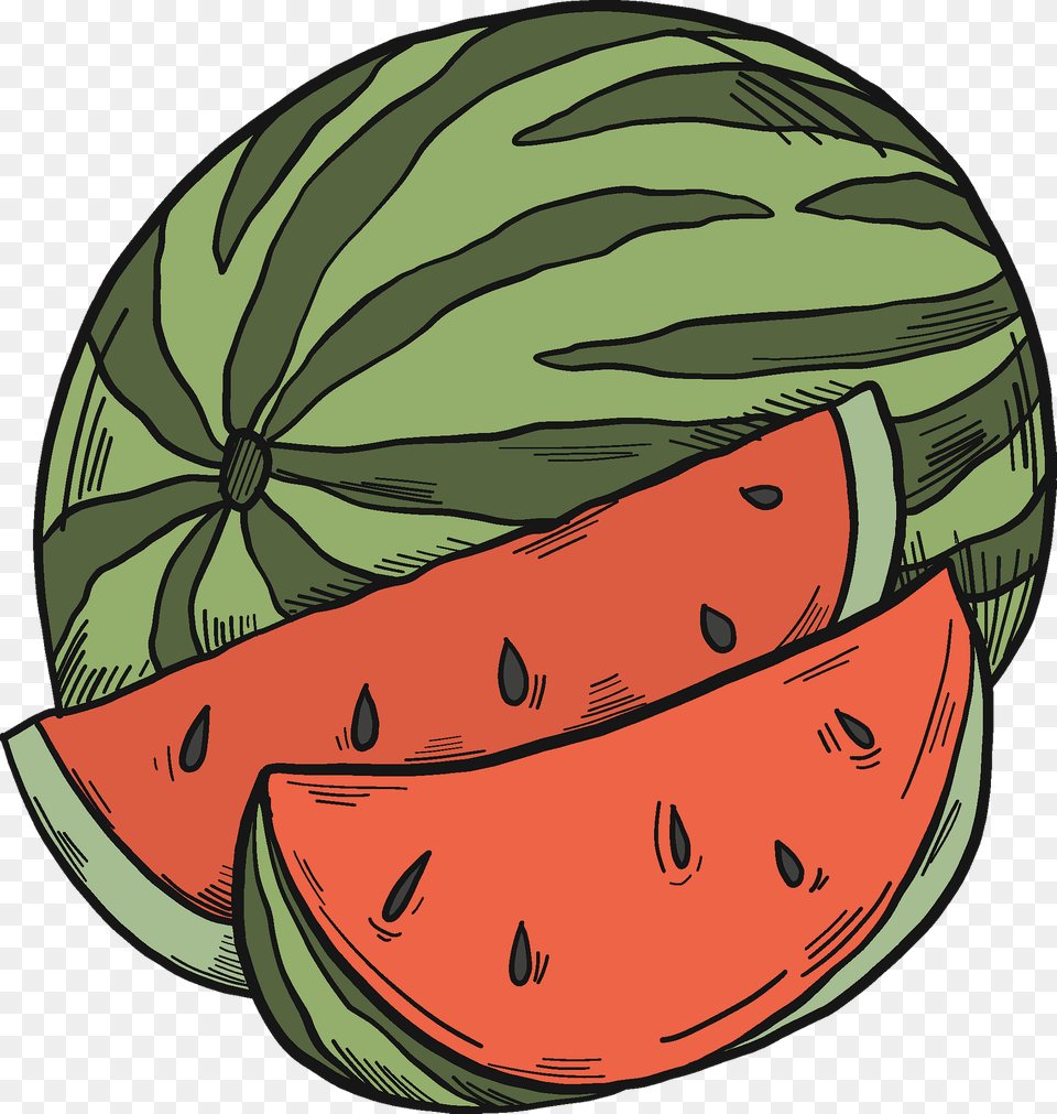 Watermelon And Slices Clipart, Food, Fruit, Melon, Plant Png Image