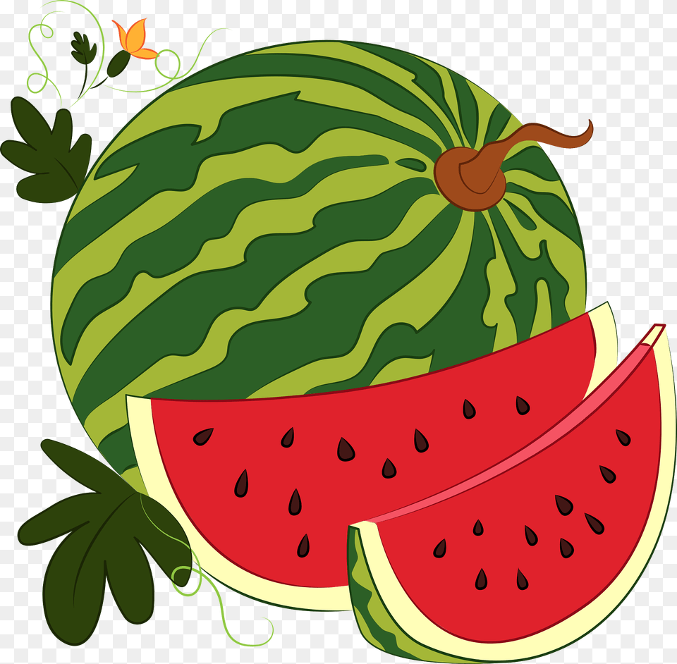Watermelon Clipart, Food, Fruit, Melon, Plant Free Png Download